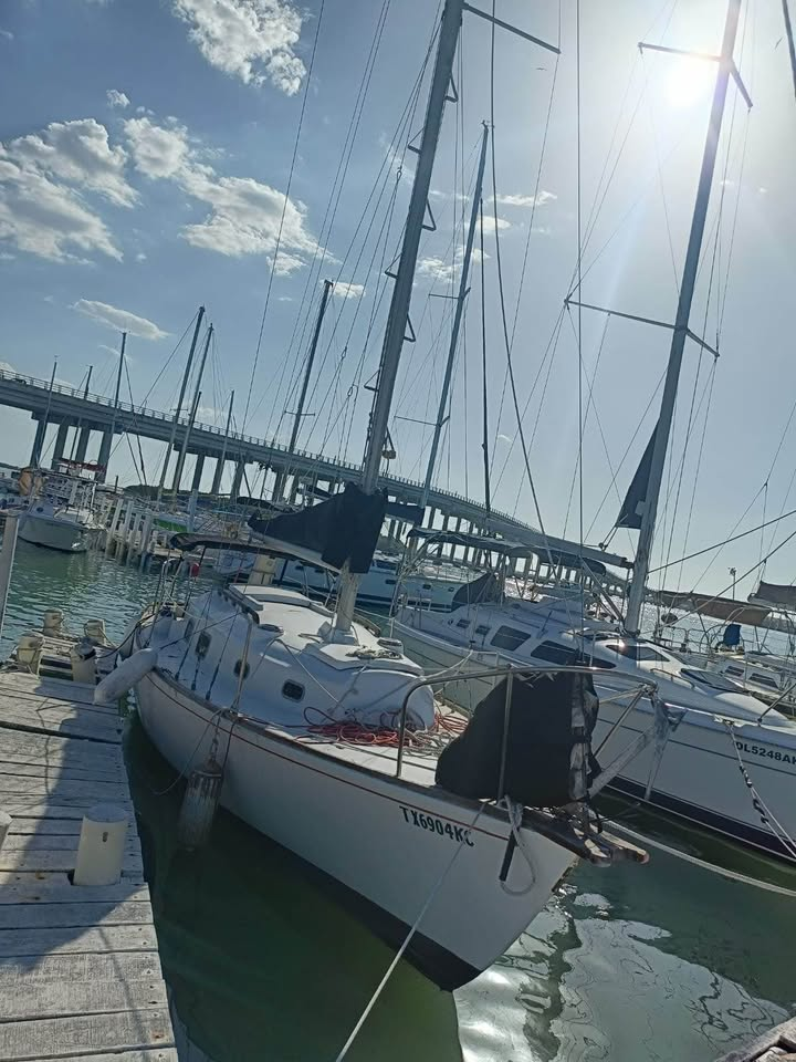 Bristol 30 3