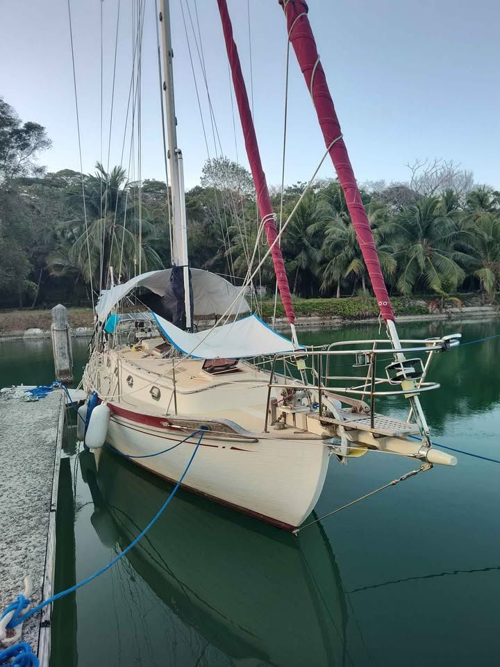 Tayana 37 · Belo Dia 2